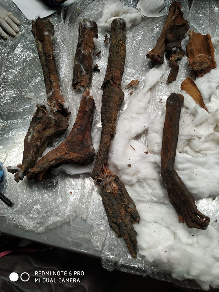 Egyptian customs intercepts remnants of mummies smuggling to Belgium