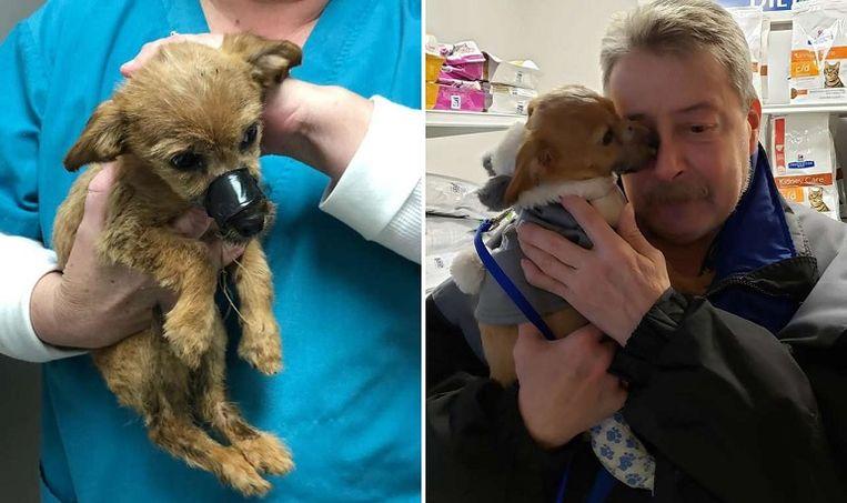 Little Louie was rescued by Bob Hoelter and can not be lucky when he is reunited with his saving angel.
