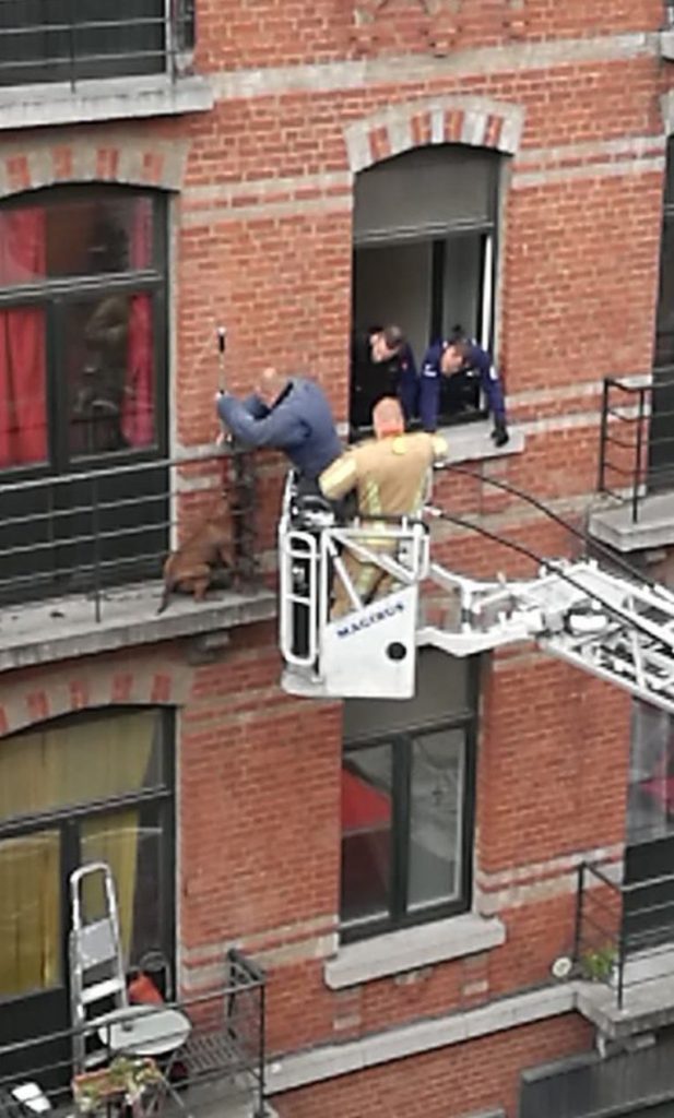 Dog locked up on tiny terrace during stormy weather all night