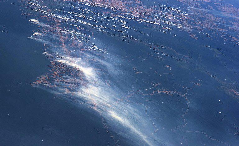 Columbia asks for international help in fighting forest fires