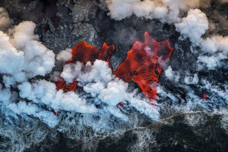 This is the best nature photo of 2019